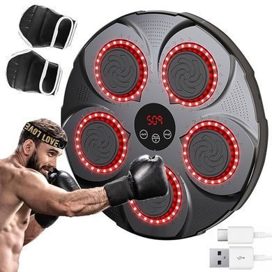 Музична боксерська мішень з рукавичками та USB 234574575 фото